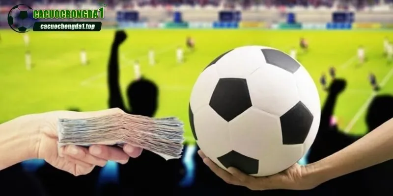 Tổng hợp các cách chọn kèo bóng đá hiệu quả